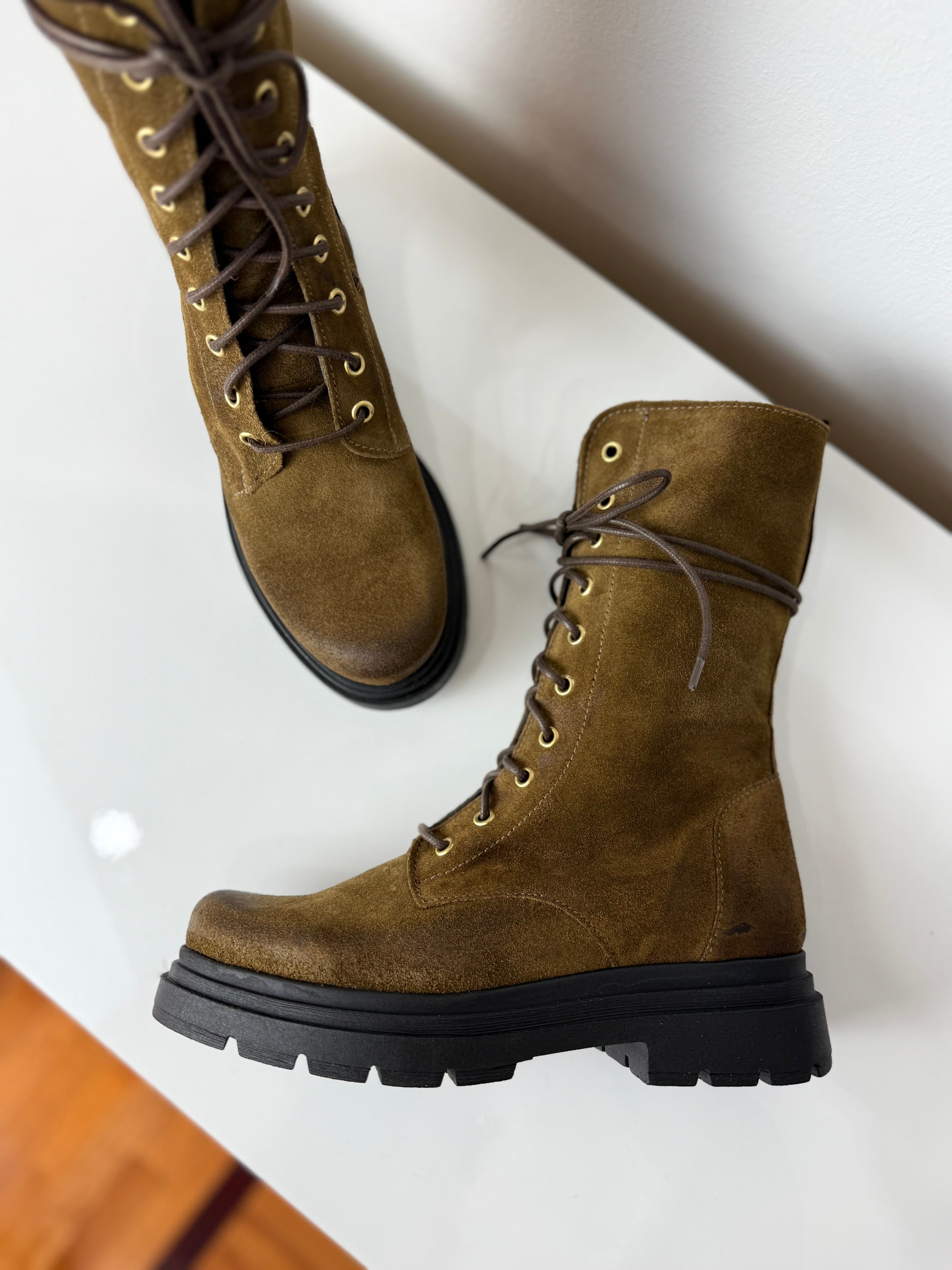 Anfibio in crosta tortora