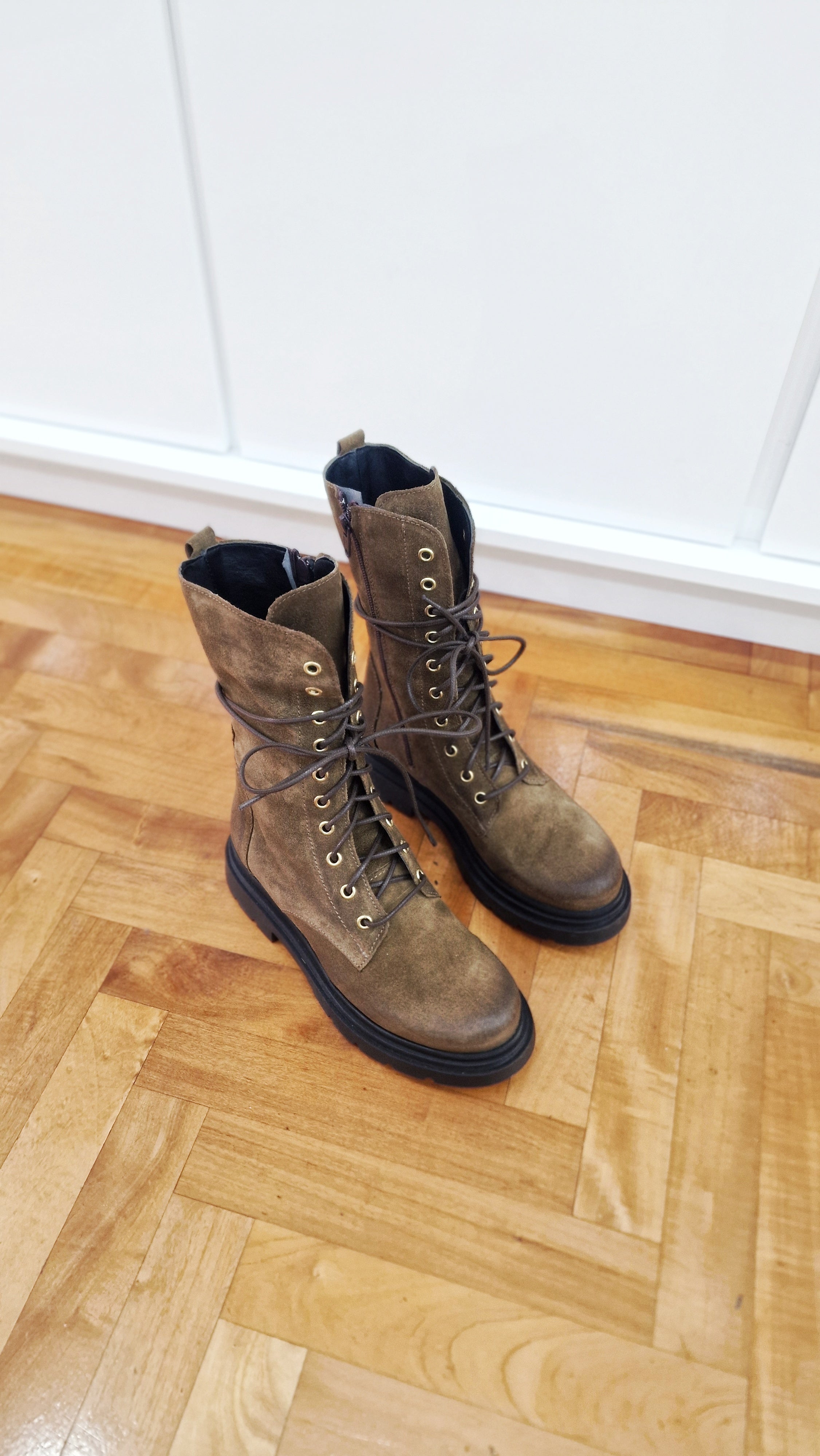 Anfibio in crosta tortora